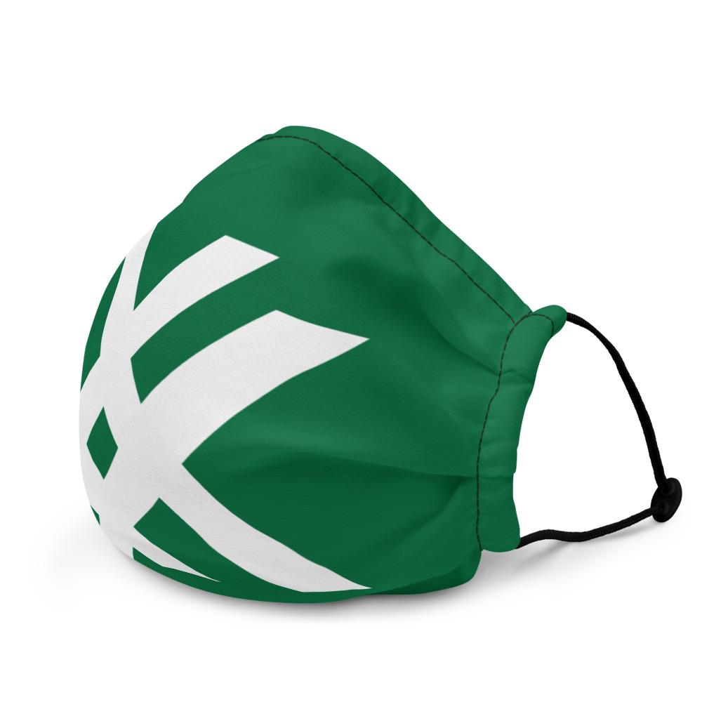 Intox-Detox X's Premium face mask