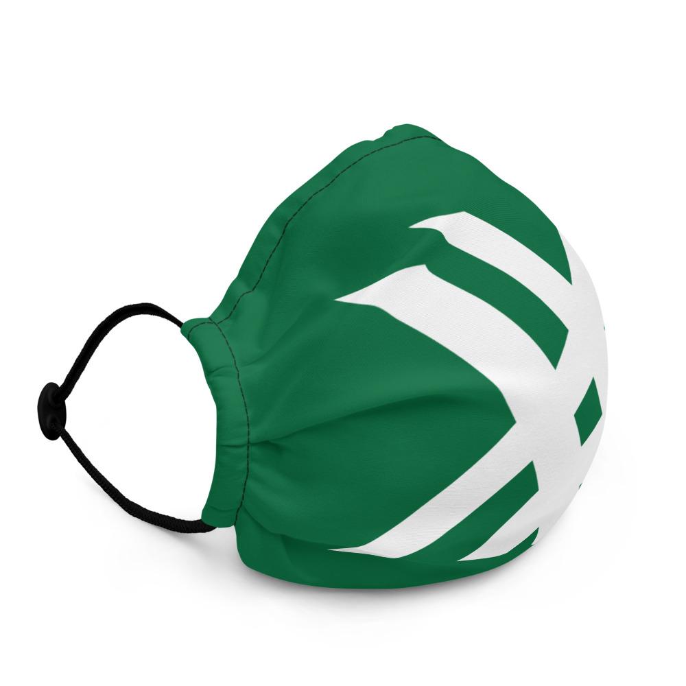 Intox-Detox X's Premium face mask