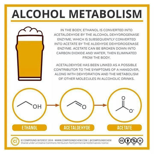 Alcohol Metabolism Explained in 30 Seconds by Intox-Detox CEO Andy Bennett